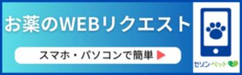 お薬WEBリクエスト
