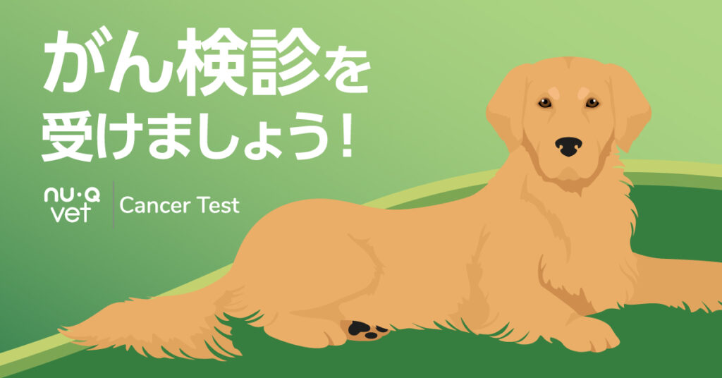 がん検診を受けましょう！
