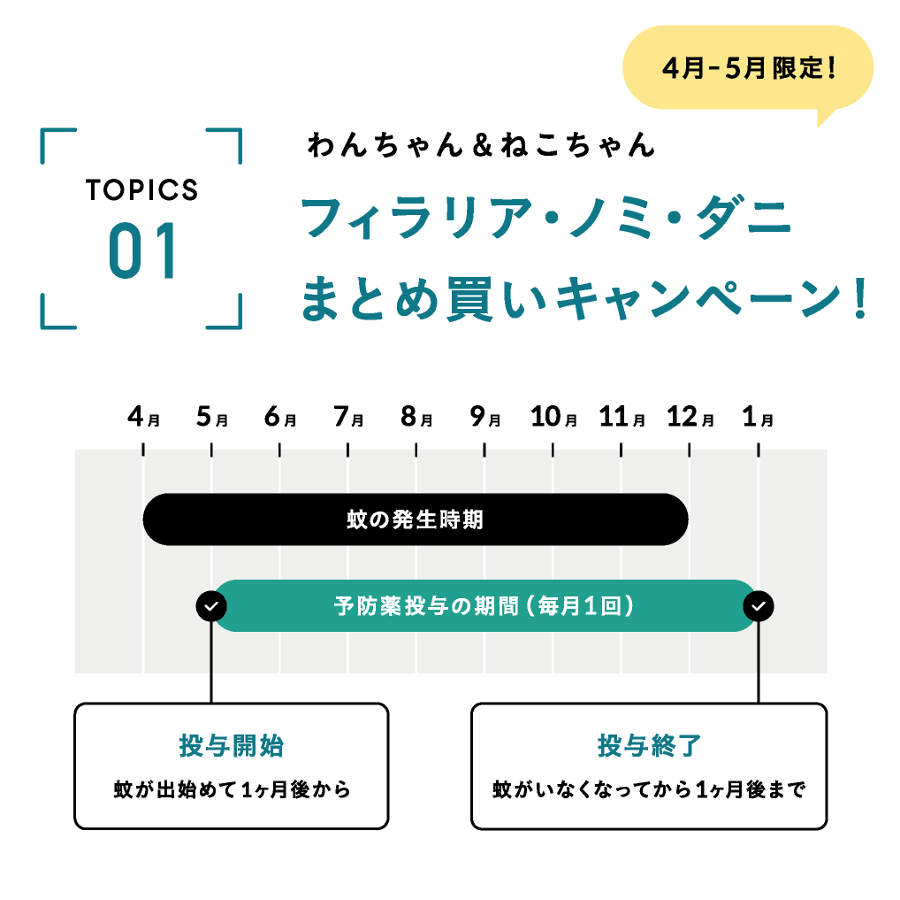 ４～５月限定🌸春の予防キャンペーン2025🌸