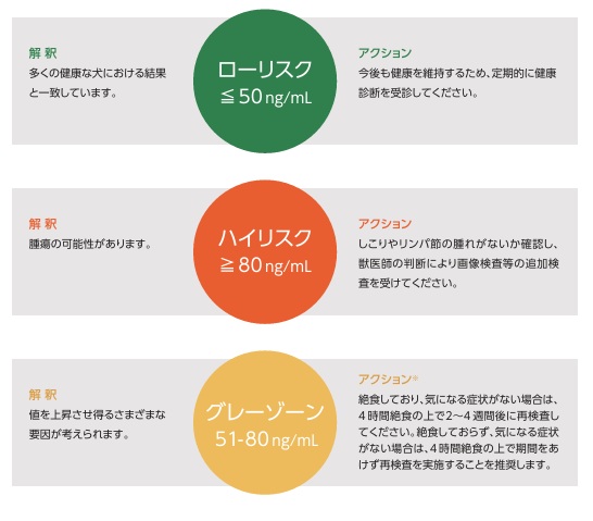 結果の解釈とアクション