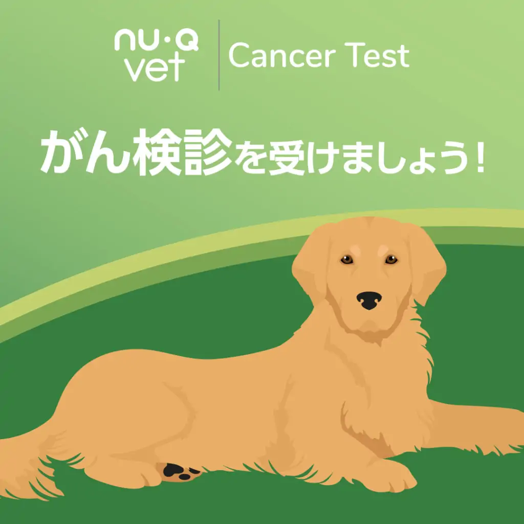 梅雨のがん検診キャンペーン